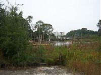 World & Travel: The abandoned water park in Walt Disney World, United States