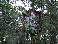 Trek.Today search results: The abandoned water park in Walt Disney World, United States