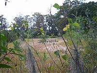 Trek.Today search results: The abandoned water park in Walt Disney World, United States