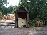 Trek.Today search results: The abandoned water park in Walt Disney World, United States