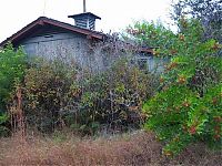 Trek.Today search results: The abandoned water park in Walt Disney World, United States