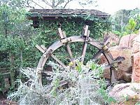 Trek.Today search results: The abandoned water park in Walt Disney World, United States