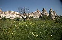 Trek.Today search results: High phallic geology, Valley of Love (Valley Phallus), small town of Göreme, Cappadocia, Turkey