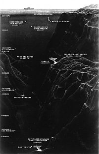 Trek.Today search results: Mariana Trench, deep ocean basin