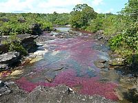 Trek.Today search results: Kamchatka rainbow river