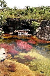 World & Travel: Kamchatka rainbow river