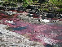 Trek.Today search results: Kamchatka rainbow river