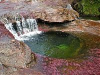 Trek.Today search results: Kamchatka rainbow river