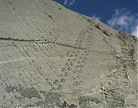 World & Travel: Dinosaur Wall, Cal Orko, Sucre, Bolivia