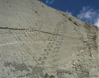 Trek.Today search results: Dinosaur Wall, Cal Orko, Sucre, Bolivia