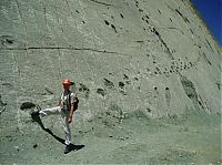 World & Travel: Dinosaur Wall, Cal Orko, Sucre, Bolivia