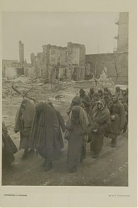 World & Travel: History: After the battle of Stalingrad