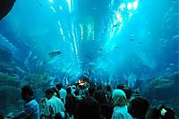 Trek.Today search results: Aquarium springs a leak in Dubai Mall, United Arab Emirates