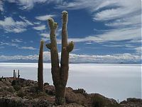 Trek.Today search results: desert sand dunes landscape photography