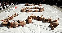 World & Travel: Protest against bull fighting, Madrid, Spain