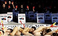 Trek.Today search results: Protest against bull fighting, Madrid, Spain