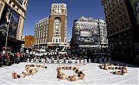 World & Travel: Protest against bull fighting, Madrid, Spain