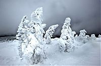 World & Travel: GERMANY-WEATHER-SNOW