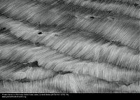 Trek.Today search results: Bird's-eye view photography by Yann Arthus Bertrand