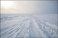 Trek.Today search results: Yamal Peninsula, Siberia, Russia