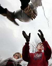 Trek.Today search results: Flooding in North Dakota, United States