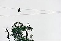 Trek.Today search results: Old pulley system over the abyss, Rio Negro, Colombia