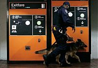 Trek.Today search results: US transit security beefed up after Moscow blast, United States