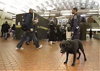 Trek.Today search results: US transit security beefed up after Moscow blast, United States
