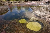 World & Travel: Caño Cristales, The River of Five Colors, Serrania de la Macarena, Meta, Colombia