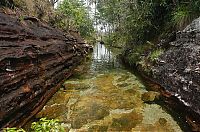 World & Travel: Caño Cristales, The River of Five Colors, Serrania de la Macarena, Meta, Colombia