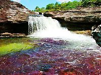 Trek.Today search results: Caño Cristales, The River of Five Colors, Serrania de la Macarena, Meta, Colombia