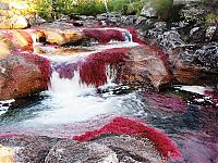 Trek.Today search results: Caño Cristales, The River of Five Colors, Serrania de la Macarena, Meta, Colombia