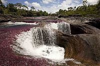 World & Travel: Caño Cristales, The River of Five Colors, Serrania de la Macarena, Meta, Colombia