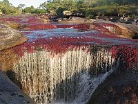 Trek.Today search results: Caño Cristales, The River of Five Colors, Serrania de la Macarena, Meta, Colombia