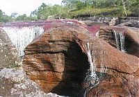 Trek.Today search results: Caño Cristales, The River of Five Colors, Serrania de la Macarena, Meta, Colombia