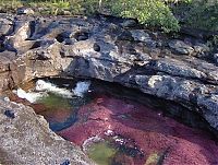 World & Travel: Caño Cristales, The River of Five Colors, Serrania de la Macarena, Meta, Colombia