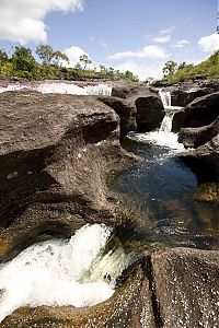 Trek.Today search results: Caño Cristales, The River of Five Colors, Serrania de la Macarena, Meta, Colombia