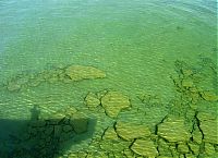 World & Travel: Caño Cristales, The River of Five Colors, Serrania de la Macarena, Meta, Colombia