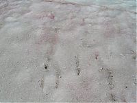 World & Travel: Watermelon snow, California