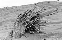 Trek.Today search results: Mount St. Helens, Eruption in 1980