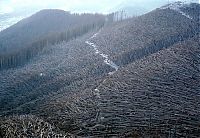 World & Travel: Mount St. Helens, Eruption in 1980