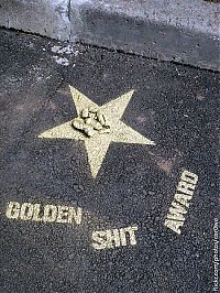 World & Travel: Golden shit award, St. Petersburg, Russia