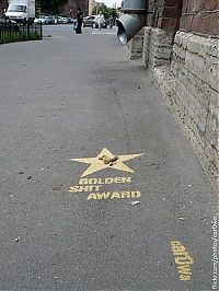 World & Travel: Golden shit award, St. Petersburg, Russia