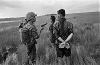 World & Travel: History: Vietnam war in photographs