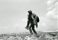 World & Travel: History: Vietnam war in photographs