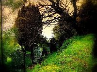 Trek.Today search results: graveyards around the world