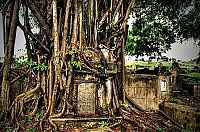 World & Travel: graveyards around the world