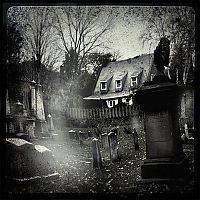 Trek.Today search results: graveyards around the world