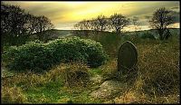 Trek.Today search results: graveyards around the world