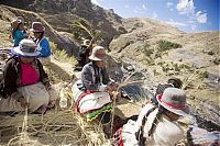 World & Travel: Qeswachaka Bridge, Peru